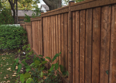 Good Neighbour Fence & Post